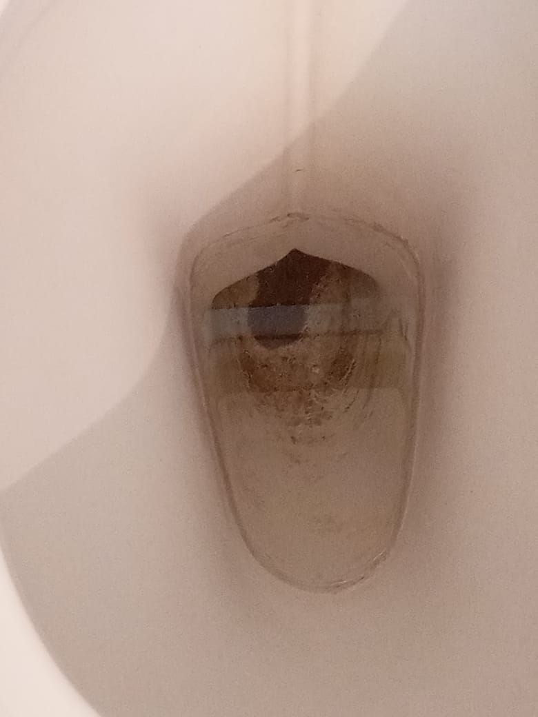 Vekat50's tweet photo. @KalptaruLimited Kalpataru Residency is handing over Brand New Flats with already Used Toilets/Washrooms/Commodes.
Kalpataru is saying the following Commode is Brand New https://t.co/TDP8I1OIoH