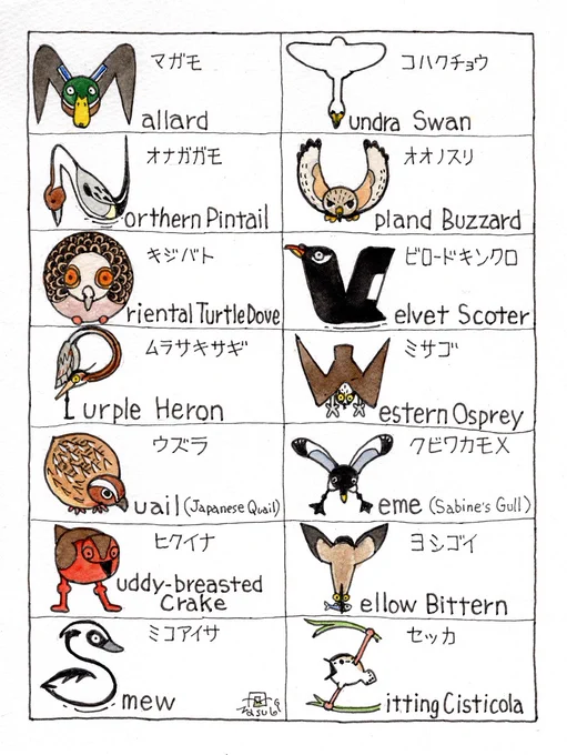 皆さまのご指摘を受けまして、野鳥アルファベットのQとXを追加しました。()内の英名が一般的ですが、ウズラはJapaneseを略しました。クビワカモメは別名の英名です。不完全ではありますが、一応全てのアルファベット完成。 