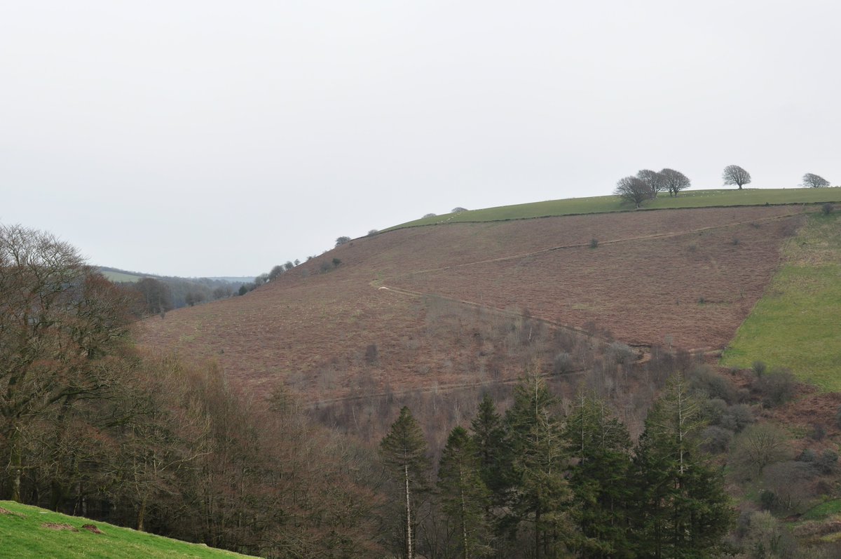 WoodlandsENPA's tweet photo. ENPA will begin our new Woodland Creation project this winter at Bye Hill, near Winsford.  Bye Wood will be 12ha (30 acres) in size and we'll be planting 13,000 trees for multiple objectives.  We'll share more information on Bye Wood over the next few weeks. https://t.co/pWTxVzR1ZA