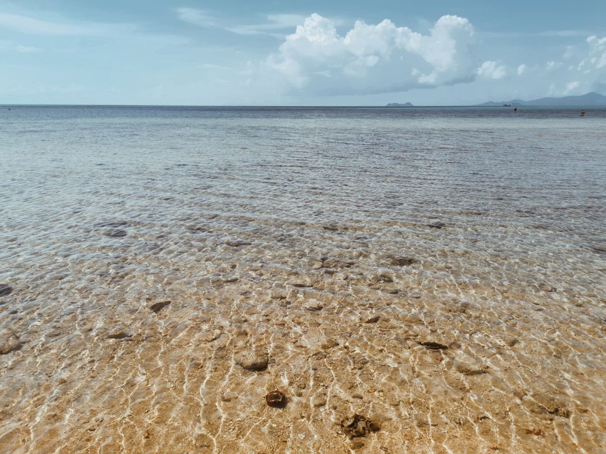 beachandbeyond's tweet photo. Memories from Koh Samui 🌊🐚 let the sea set you free.

#KohSamui #Thailand #AmazingThailand #ReviewThailand https://t.co/aEX7DmpXM7