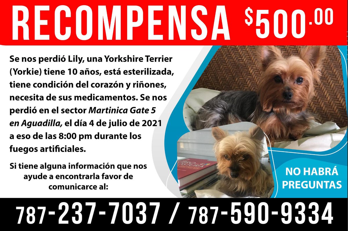 Veronique AbreuTañón (@veroniqueabreu) on Twitter photo 