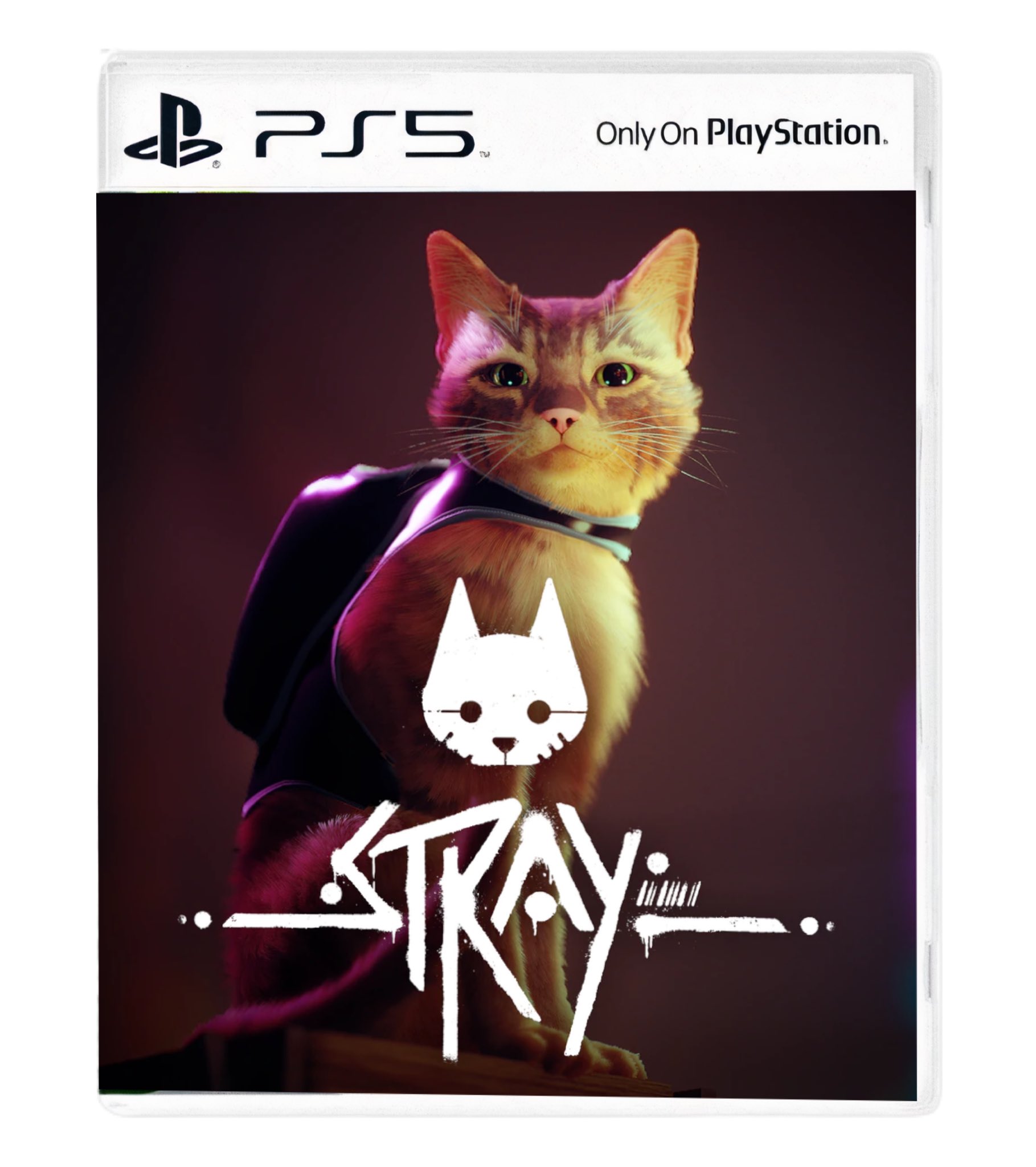 TCMFGames on X: I need to see more of Stray