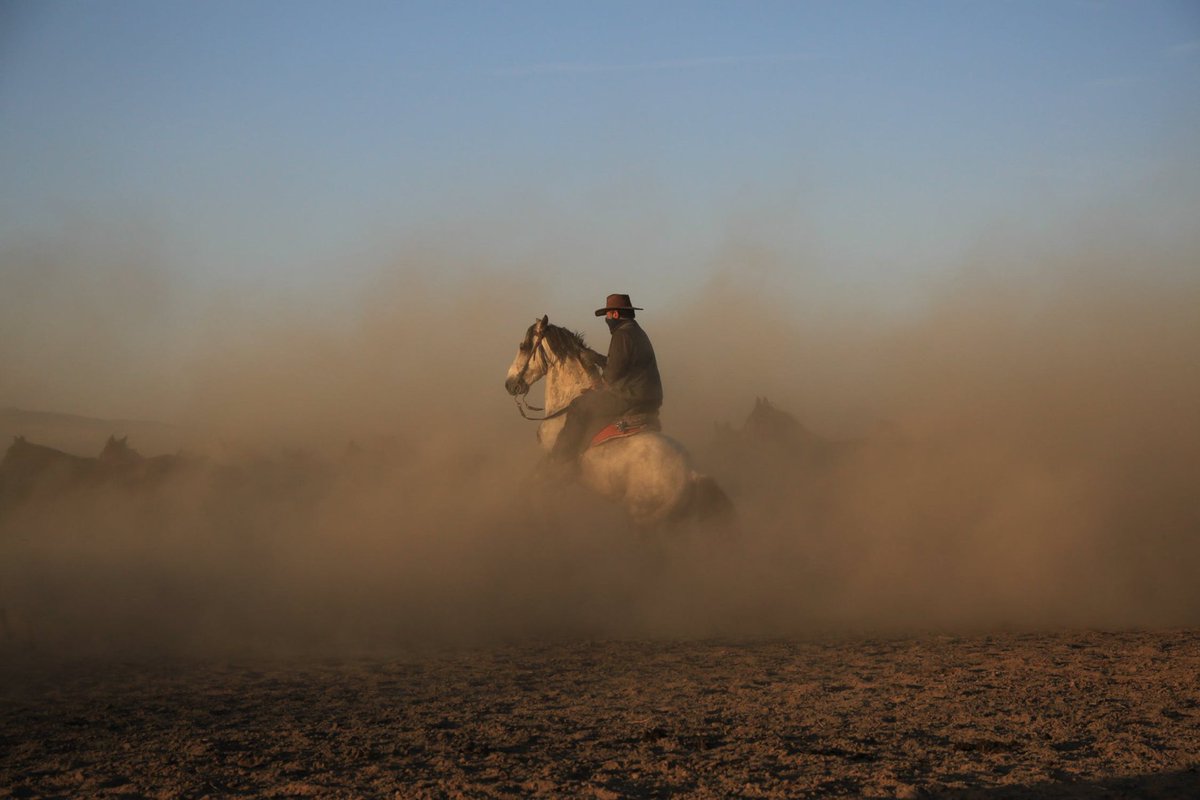 RiverRanchStockyards tweet media