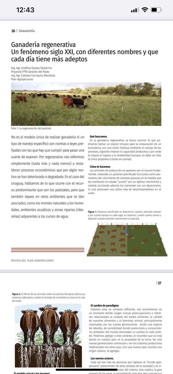 terkouruguay's tweet photo. Se viene la ganadería pastoril regenerativa. Interesante articulo en Revista @PlanAgro con autoría @ecarriuy @josegarese 👏👏👏 https://t.co/Rh9WQ126EA