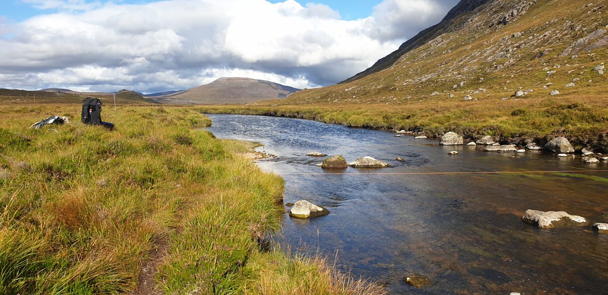 Electrofishing underway for #NEPS21! 1st water samples from @CfFisheries @RossGlvr & 1st DPU files from @WSFTrust. Water samples enroute for @AyrshireRT & @SpeyFishery. Who will be 1st for both water samples & DPU files in? Any other @fms_scotland members in the running?