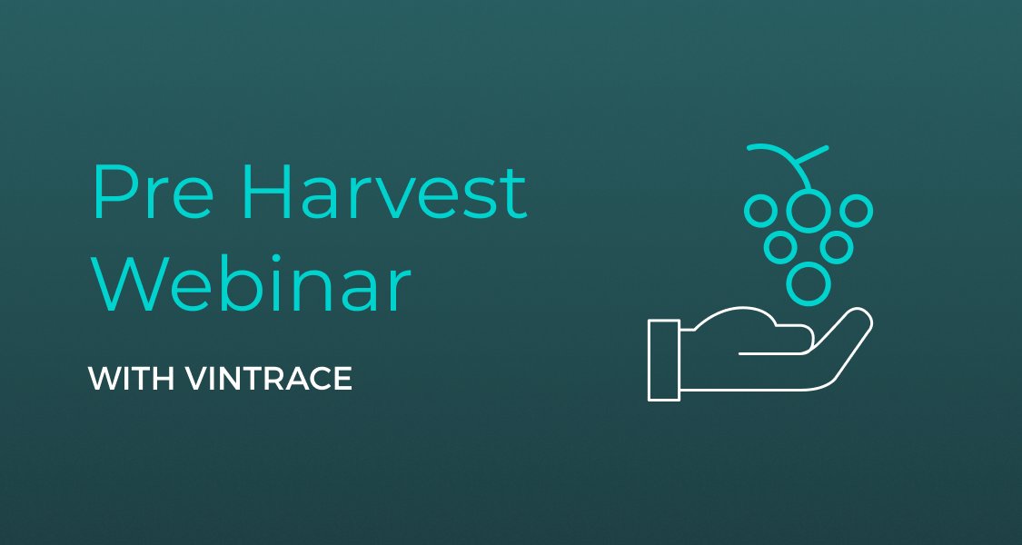 vintrace tweet media