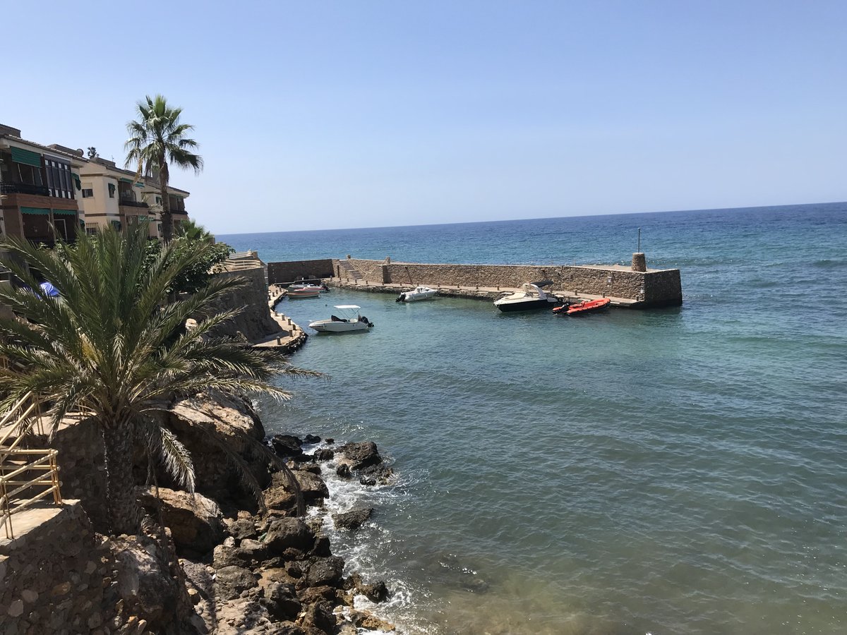 CalidaLife's tweet image. 