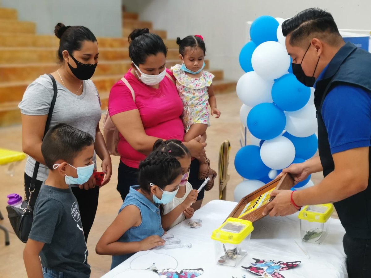 Instituto Tamaulipeco para la Cultura y las Artes tweet media