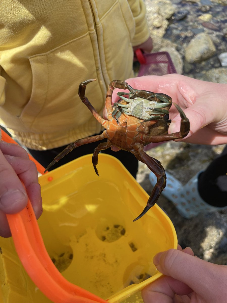 Treverbyn Academy & Nursery tweet media