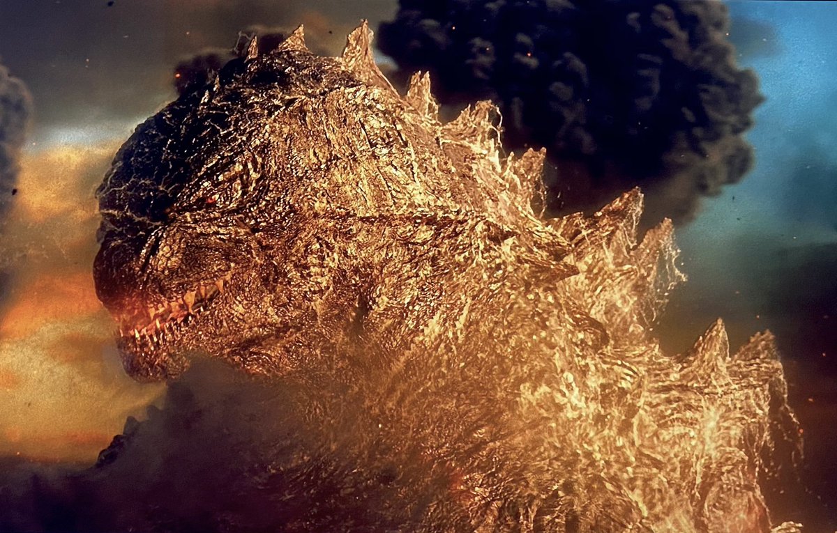 Pasin ゴジラvsコング 人間ドラマ部分はkomより雑だし 尺が短いのに眠くなるぐらいお粗末なんだけど 怪獣ドラマ 敢えてこう呼ぶ 部分は絵作りから感情表現豊かなバトルアクションまで非常に出来が良くて評価に困る ここまで極端な作品ってゴジラ67年の