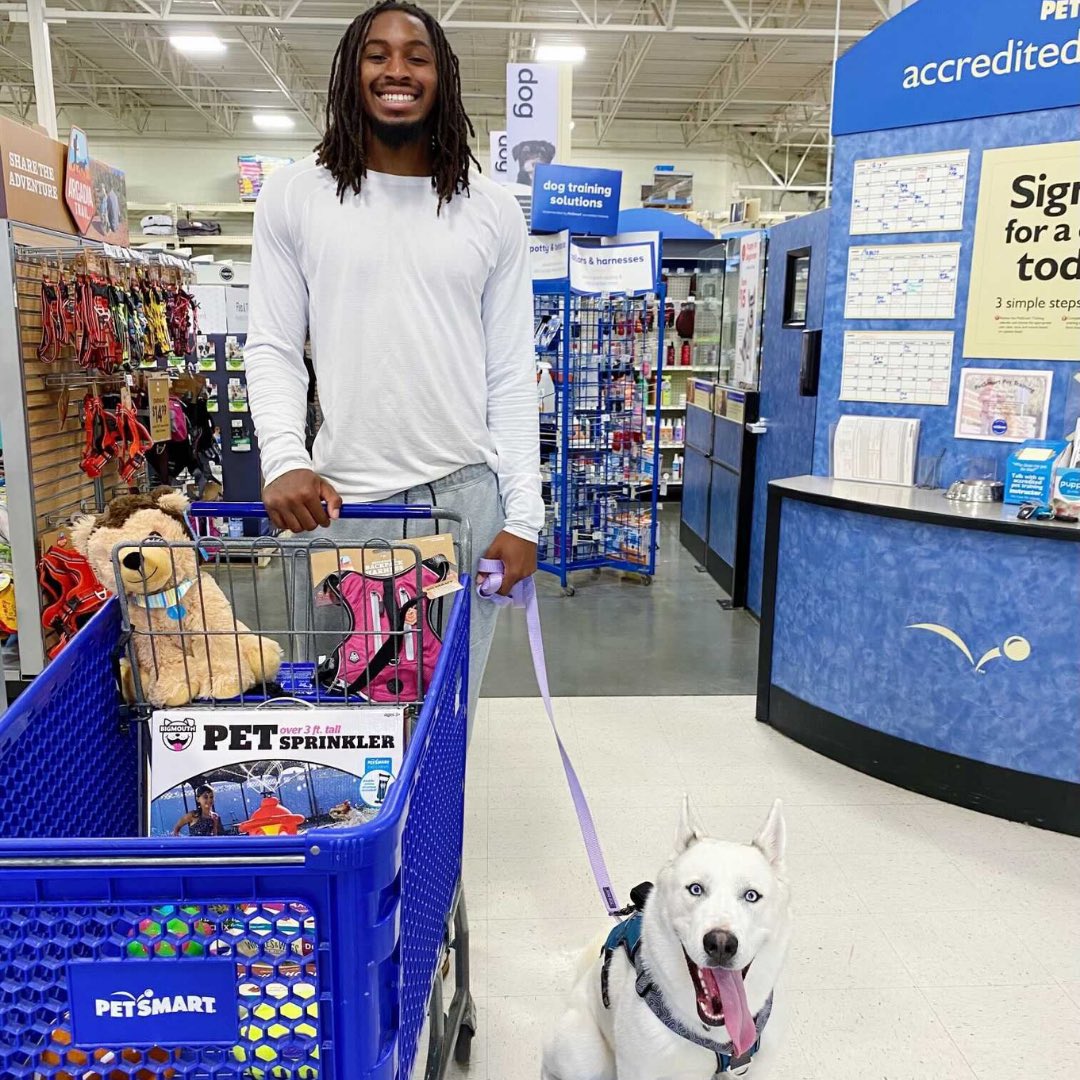 Fbu1Tk's tweet image. I&apos;d do anything for Blue, because she&apos;s everything to me. #AnythingforPets #Ad @PetSmart x @NOCAPSports