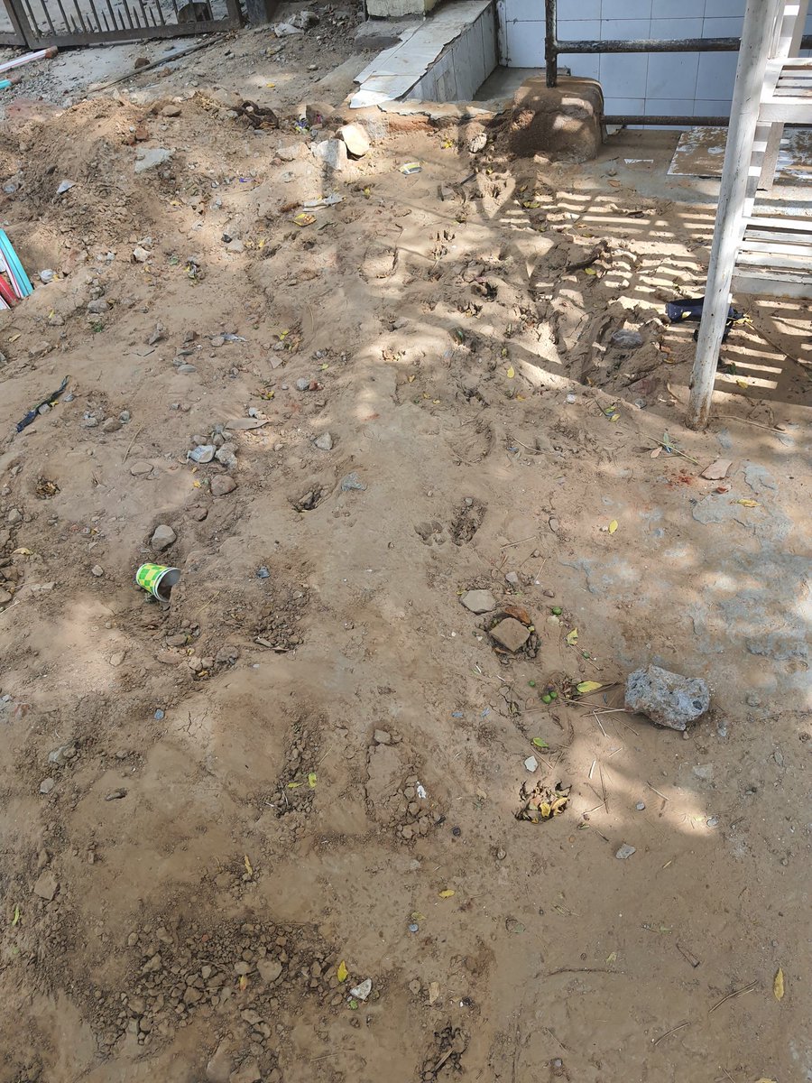 Manshu101's tweet photo. As you can see in these photographs my shop Malviya Nagar Block H5/16, SRL Diagnostics. 
ACT @ACTFibernet did this digging all to set fiber cable  and now this area is all muddy puddle in front of my diagnostic center. 
#sdmc #mcdsouthdelh @MCDdelhi @DrNandiniBJP Need your help🙏 https://t.co/Jw32mGgLK5
