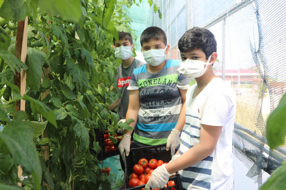 Dikim de vardık. Hasatta da  yerimizi aldık.
<a href="/giresunilmem/">Giresun İl Milli Eğitim Müdürlüğü</a>
<a href="/yunisaydn28/">yunus aydın</a>
 <a href="/ertugrultosunog/">Ertuğrul TOSUNOĞLU</a> 
<a href="/ziyaselcuk/">Ziya Selçuk</a>