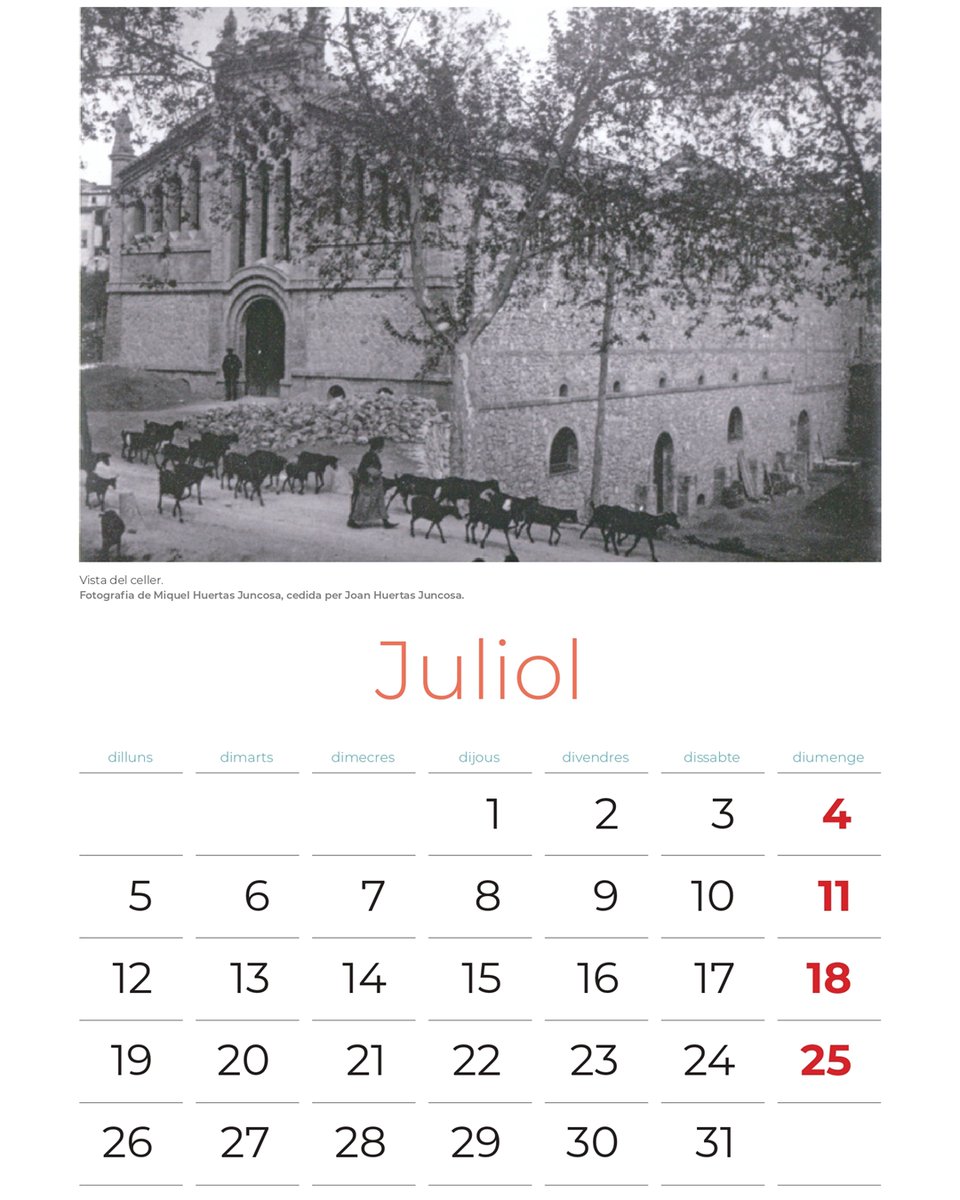 🥳 La vinya pel juliol, no vol veure aigua
sinó prendre el sol!
📸 Aquest més, la foto és de la façana del celler quan
passa un ramat de cabres. Una imatge de Miquel
Huertas Juncosa cedida per Joan Huertas.