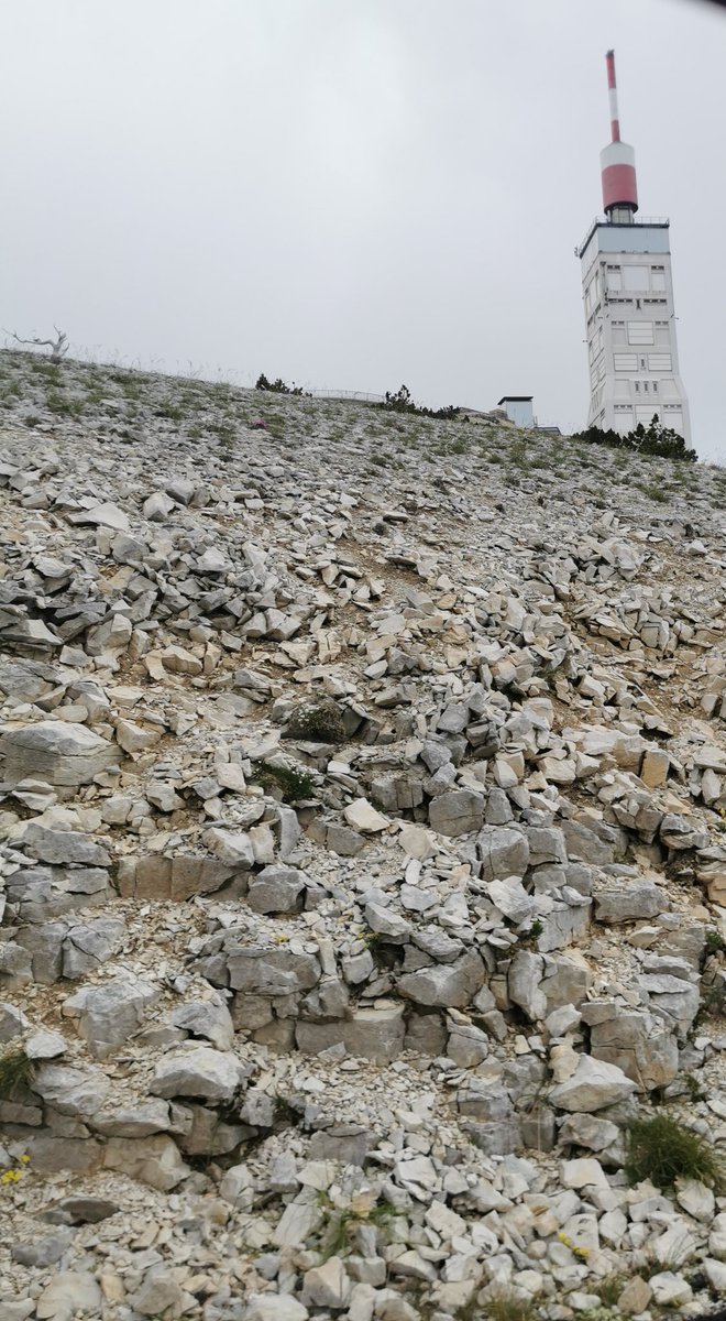 Une journée au coeur du #TourDeFrance2021 avec une étape inédite au #MontVentoux

👷👷🏼‍♀️ Les équipes <a href="/OrangePACA/">Orange PACA</a> oeuvrent depuis 4h du matin et assurent les raccordements du réseau #fibre pour permettre la diffusion du Tour. 

Alors <a href="/RenaudB31/">Renaud Breban</a> c'était comment ? 😃