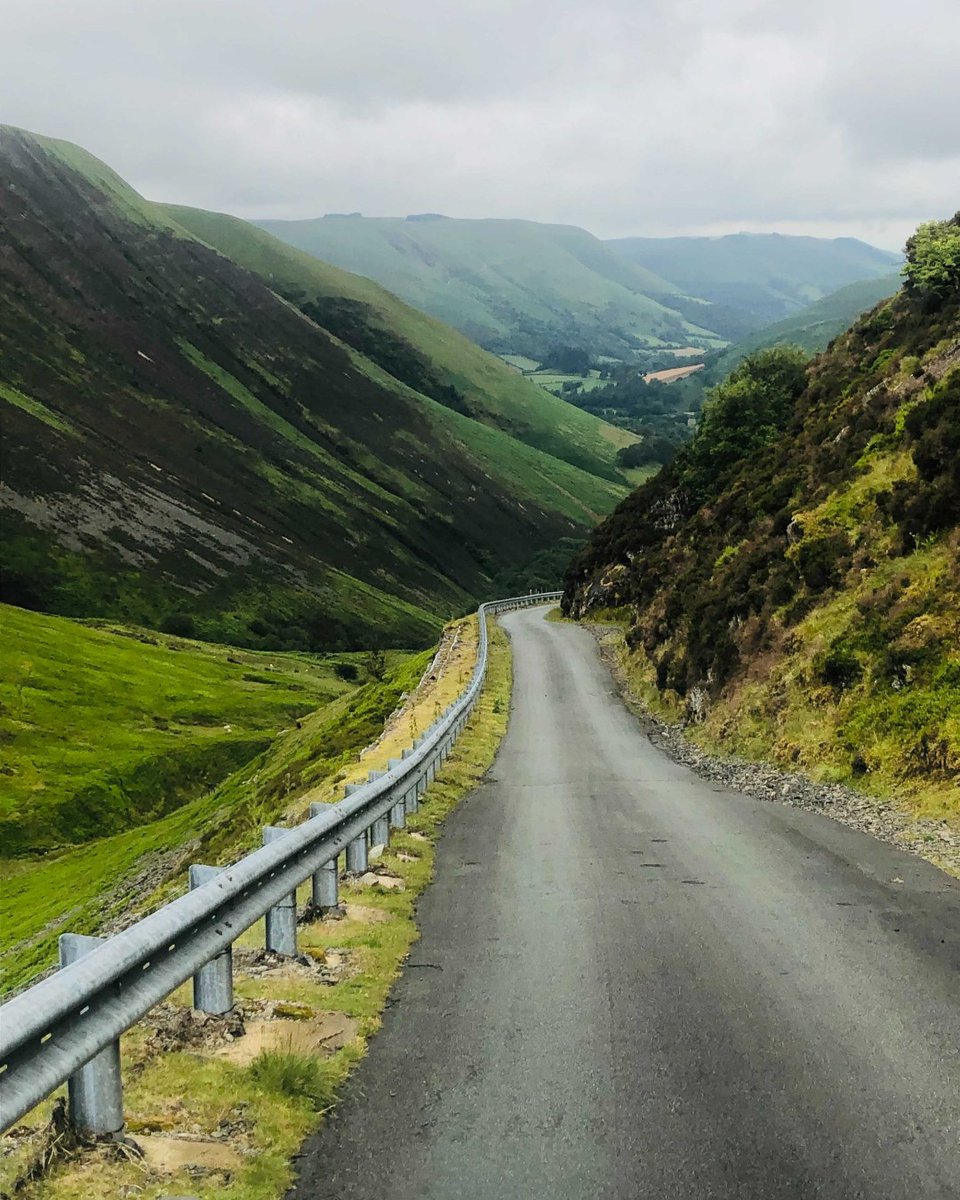 PedalTripr tweet media