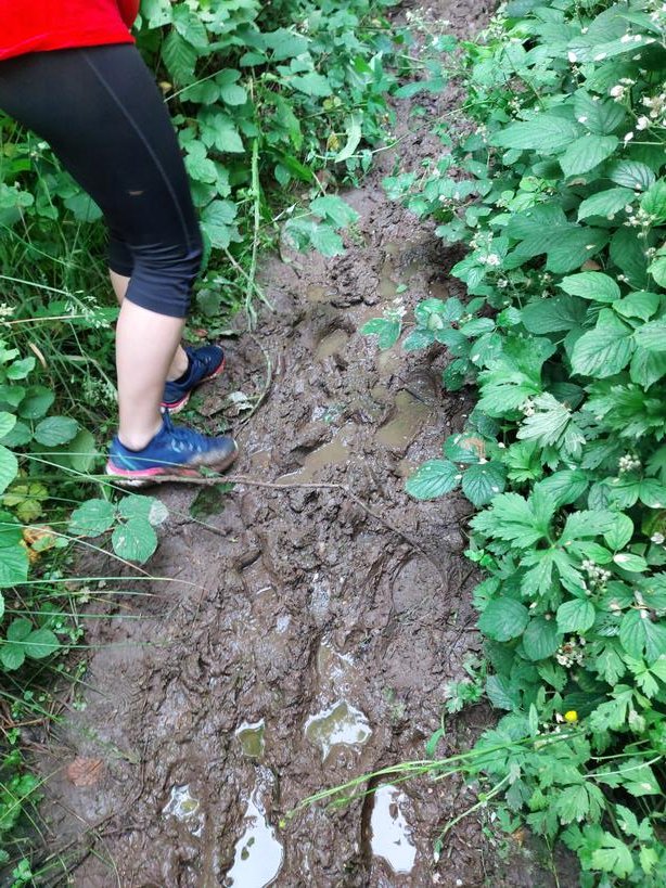 acgtranslation's tweet photo. Mud and mosquitos argh...#vcchallenge @CCCUSport @LASARcentre @SherrySimps1 https://t.co/kohCHtiFTP