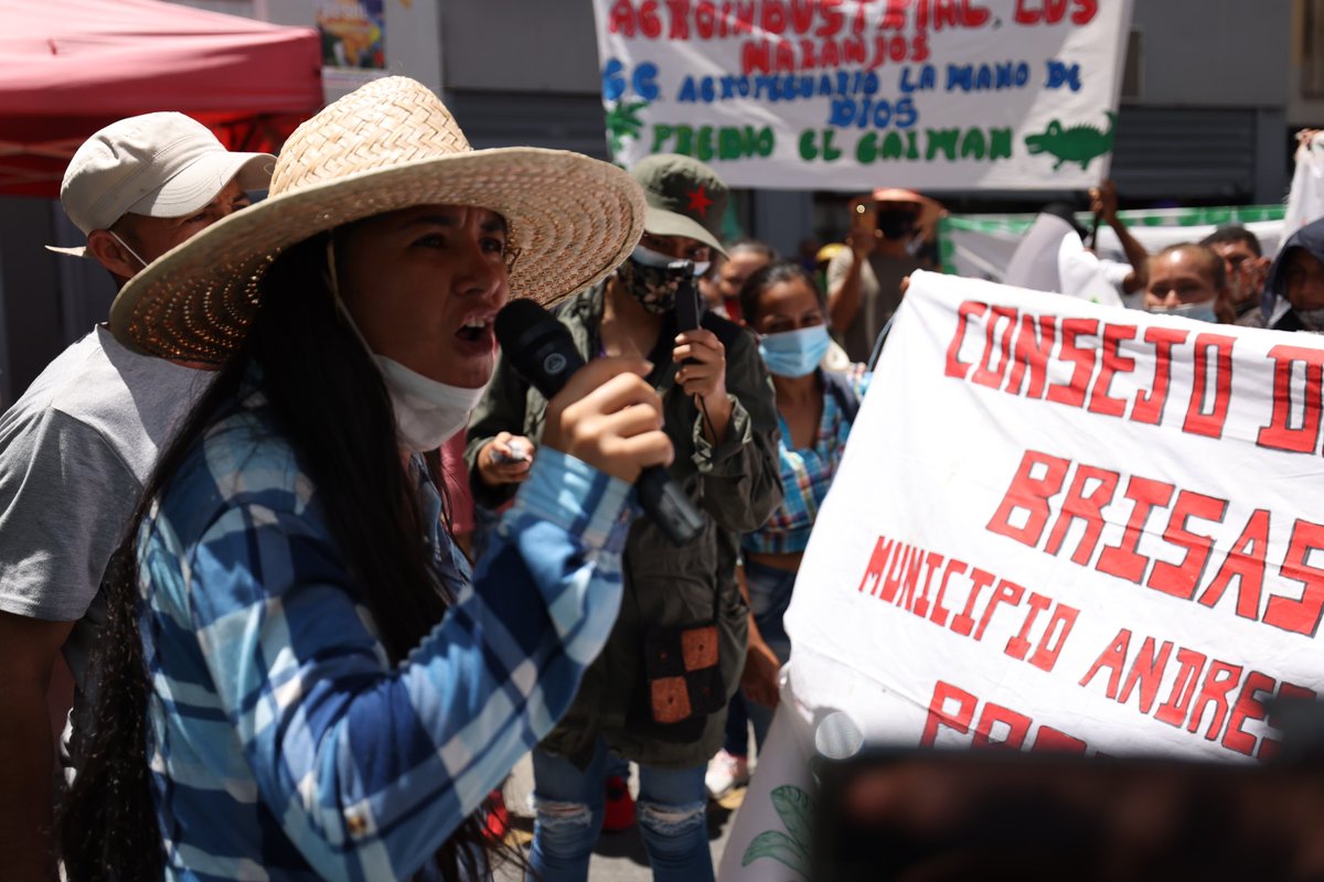 nawseas's tweet photo. #Ahora representantes de 18 organizaciones campesinas se concentran en las afueras del Palacio Legislativo exigiendo medidas contra el auge del latifundio y el cumplimiento de la Ley de Tierras. https://t.co/UMmVB42tHv