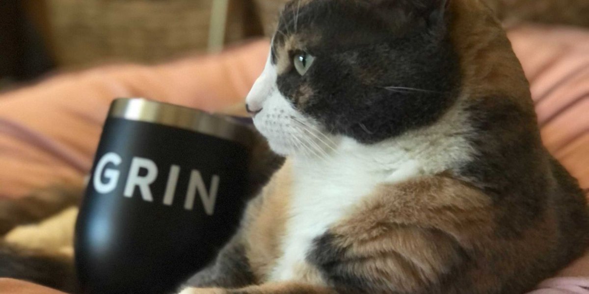 Looking forward to a purrr-fect week here at GRIN! 

Thanks for the photo from our GRIN team member Tessa and Stella 😺
#socialmediamarketing #influencermarketing #influencermarketingecommerce #creatoreconomy