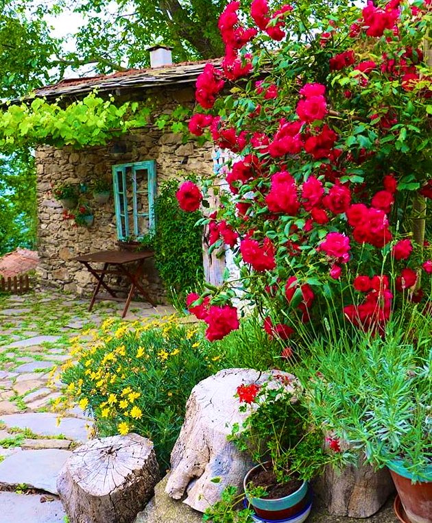 ོ       ོ 
        ♥️

Bir alim öğrencilerine ders verirken şöyle der: "Ben nezaketi ağaçtan öğrendim. Ona tekme attım, o tepemden çiçek yağdırdı. O utanç bana ibretlik ders olarak yetti."

          ོ 
                         ོ       ོ 
                                   ♥️