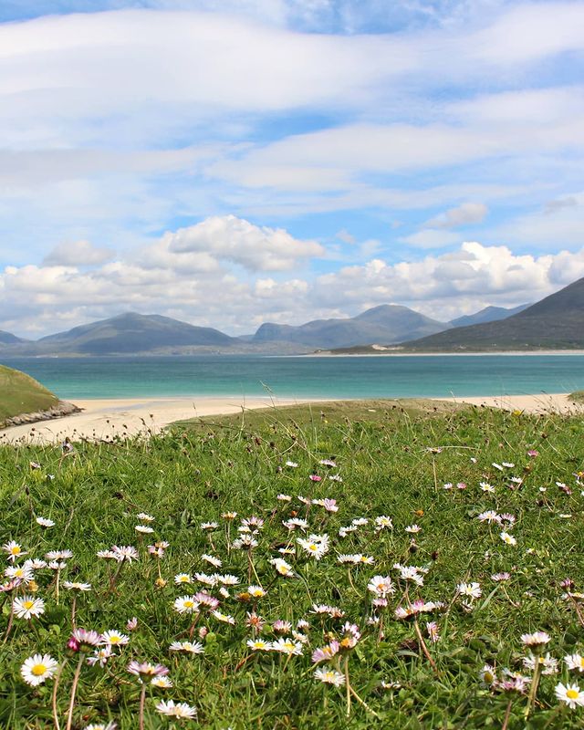 Wild flowers, white sandy beaches &amp; crystal clear waters... the <a href="/OuterHebs/">Visit Outer Hebrides</a> really are what dreams are made of!💎 📍 Horgabost, Isle of #Harris 📷 IG/iainsranndach #RespectProtectEnjoy