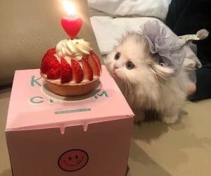 Happy birthday @DSN3YQ wish you happiness and I love you babyy 🎂💝