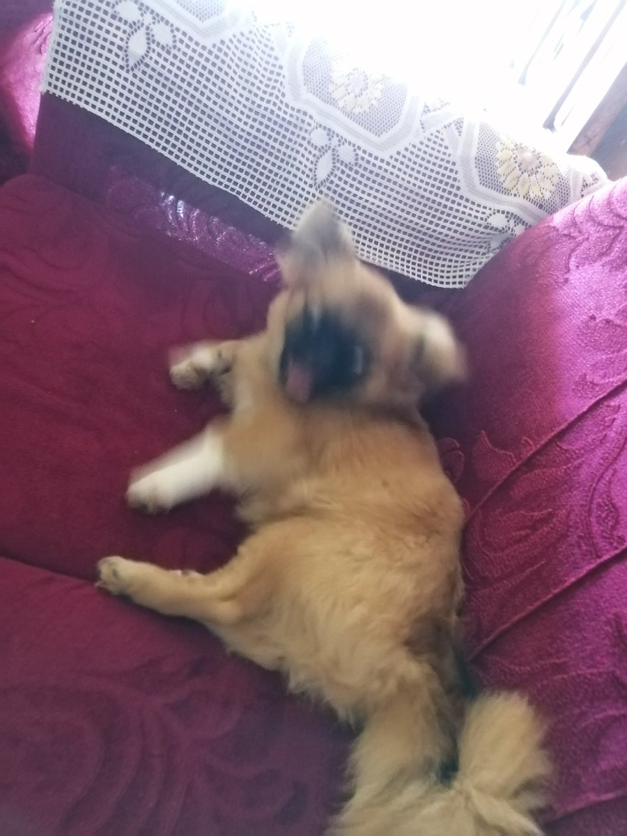 Mi cara cuando abran las provincias ✋🏻