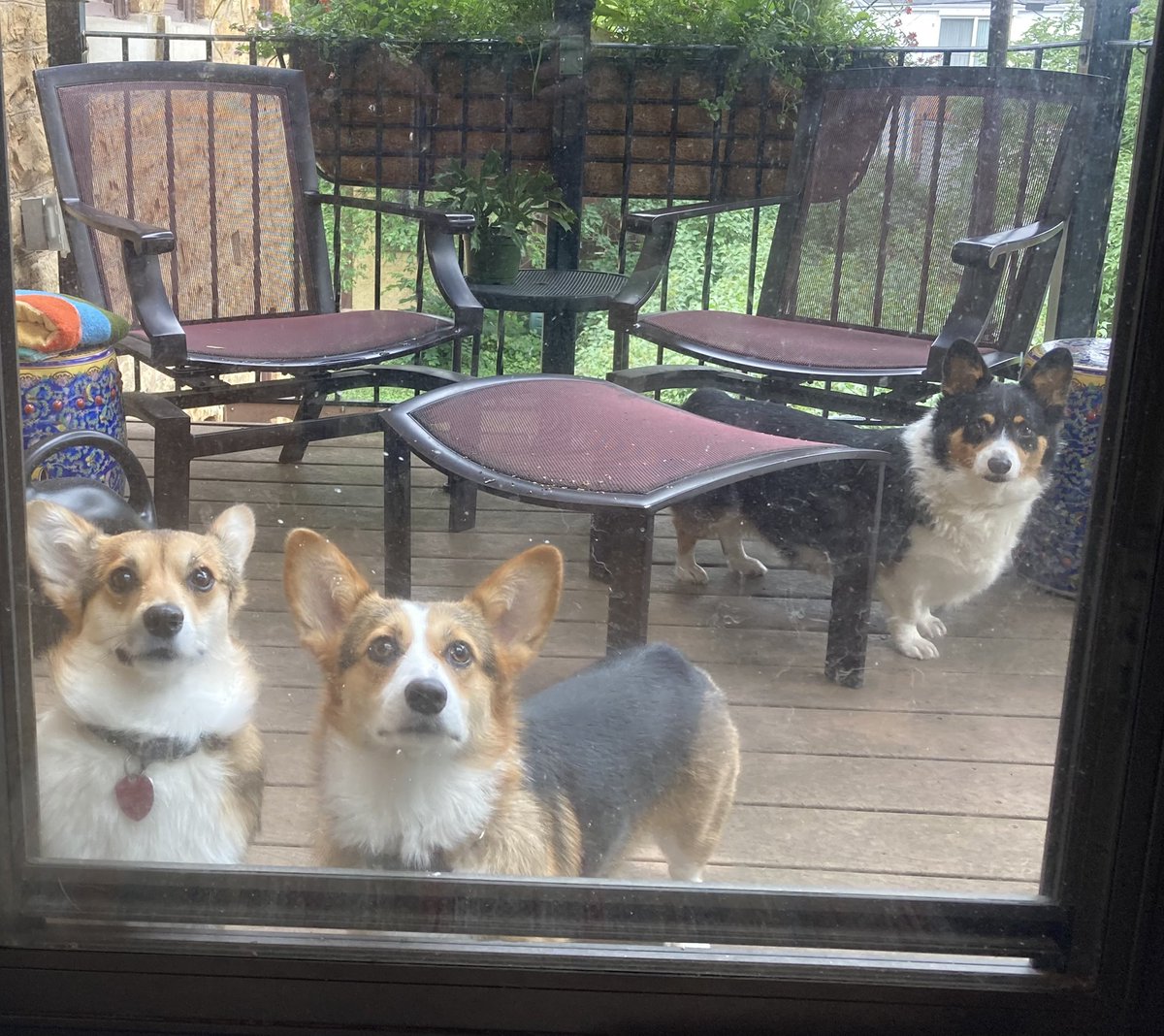 Can we come in? She’s hogging the good spots under the deck chairs!
