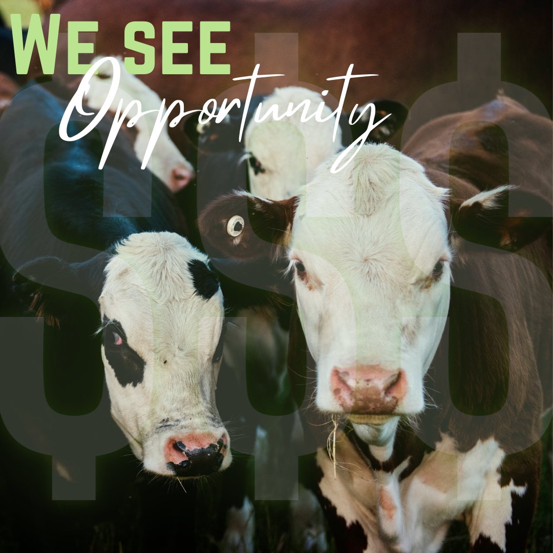 FarmAfield tweet media