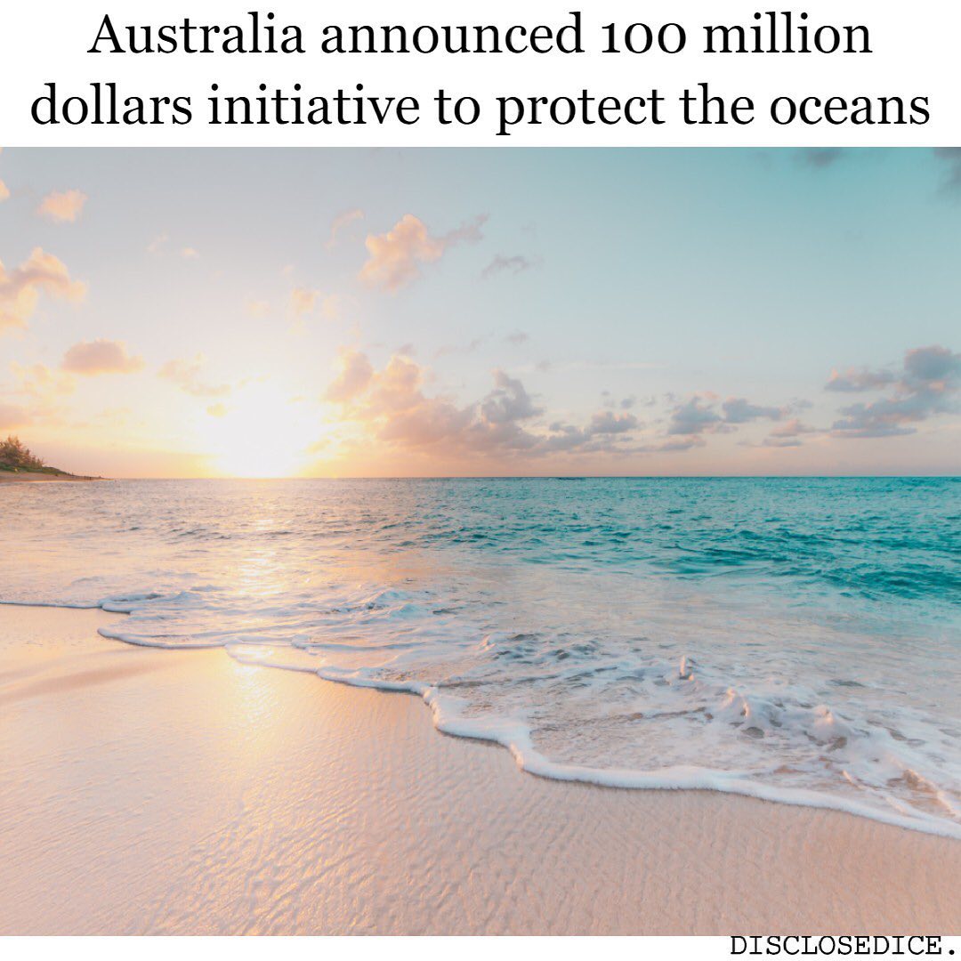 This is wonderful! 🙌 Via: 📷 disclosedice #australia #oceanconservation #brainsharper