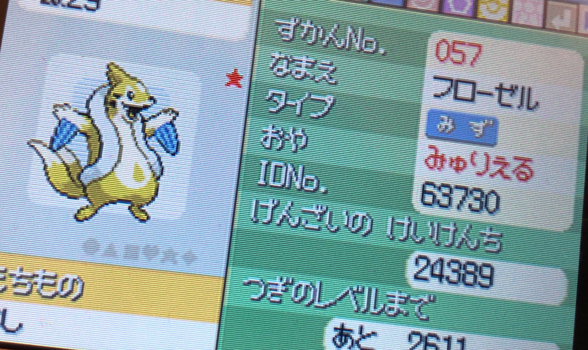 みゅりえる 加藤純一さん真似てプラチナでポケセン封鎖1人でやってたらフローゼル色違い出て詰んだ ロッククライムできるやついない Hgに続いて色違いで詰んだ ポケセン封鎖 加藤純一 T Co Xbbyuik2ho Twitter