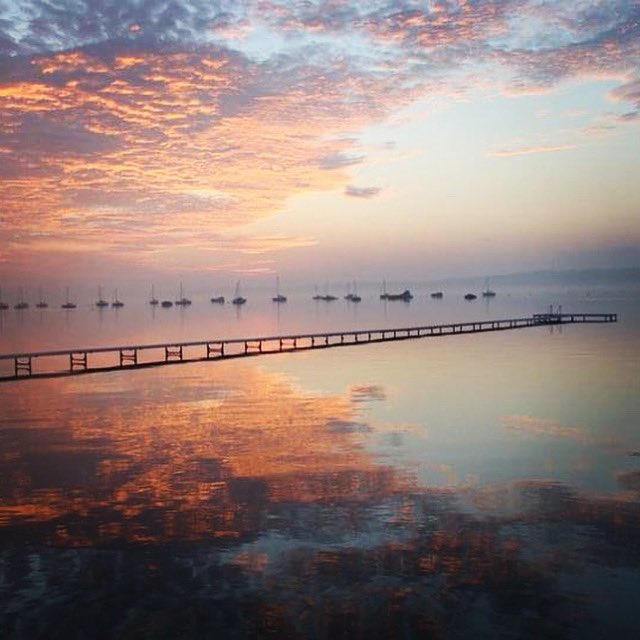 Dave B. Goode tweet media