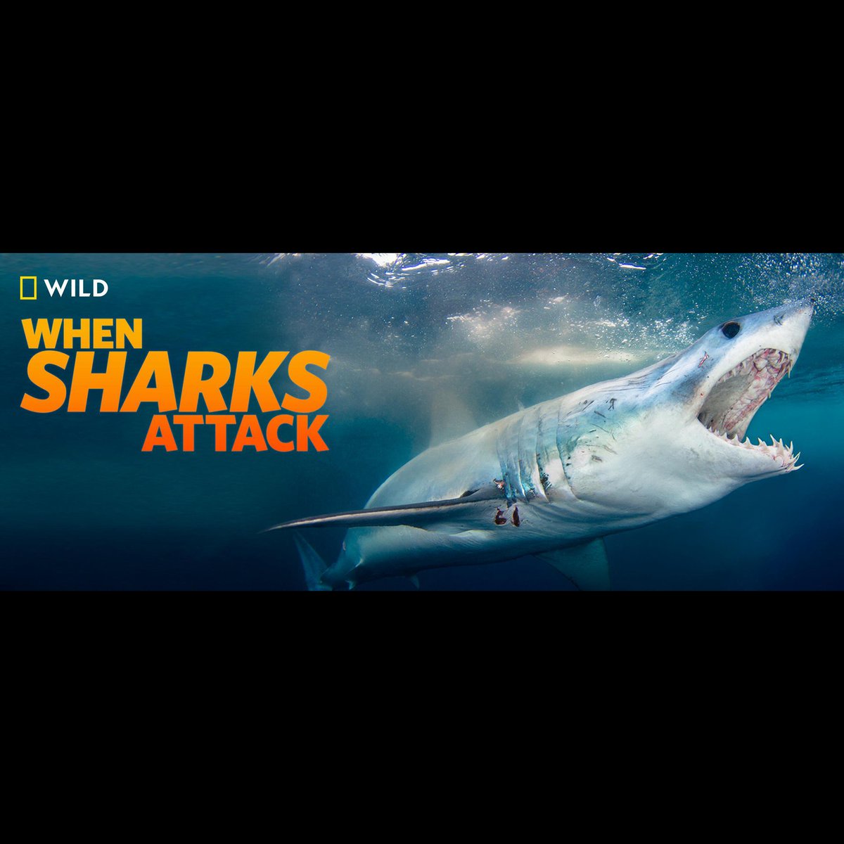 24fps Productions tweet media