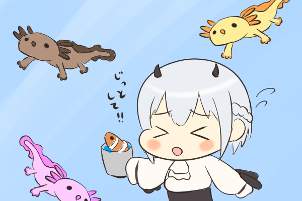ウーパールーパーのtwitterイラスト検索結果