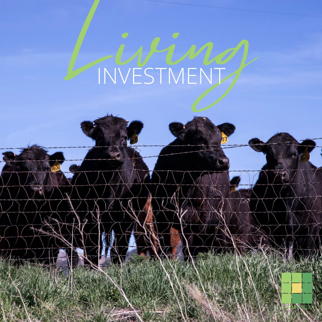 FarmAfield tweet media