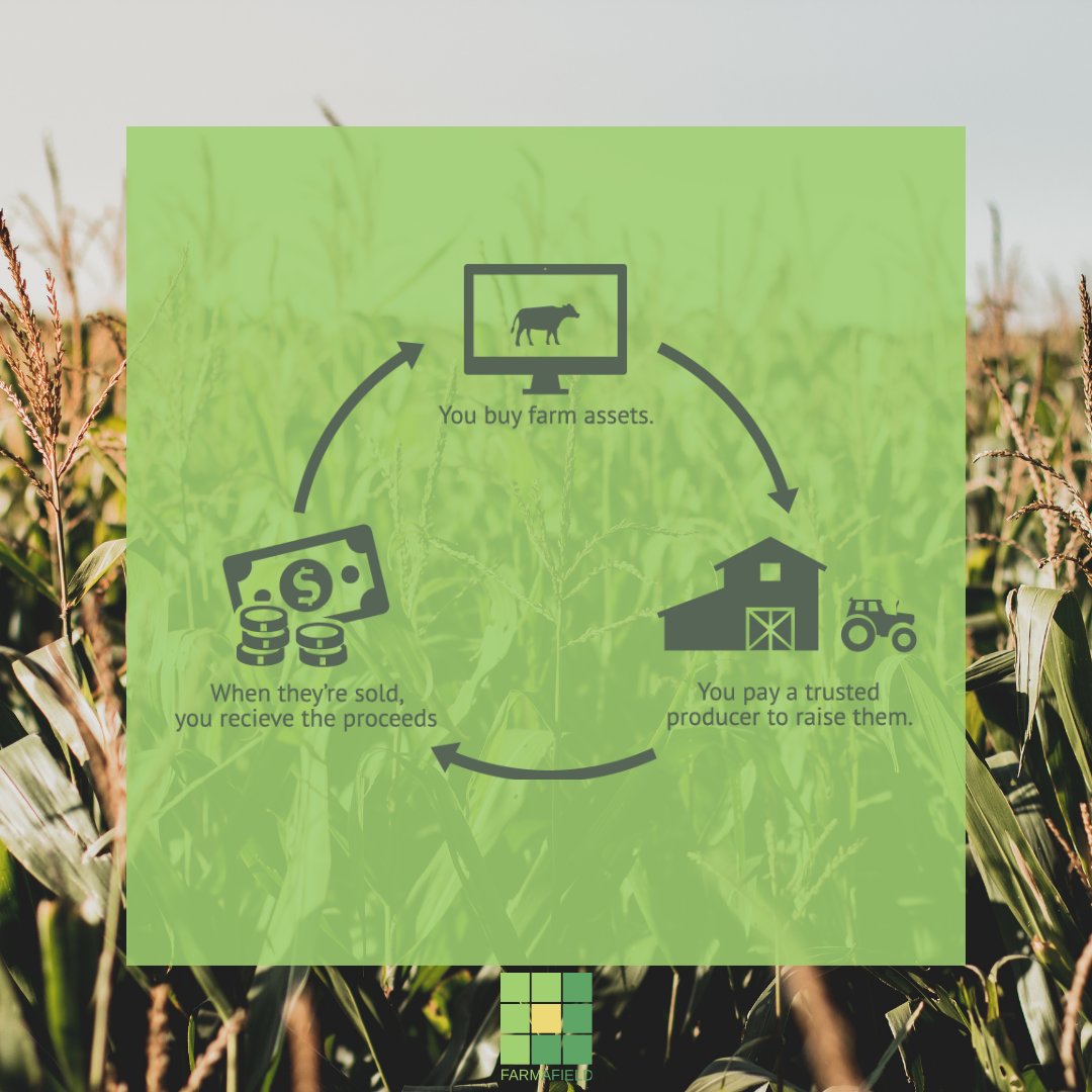 FarmAfield tweet media