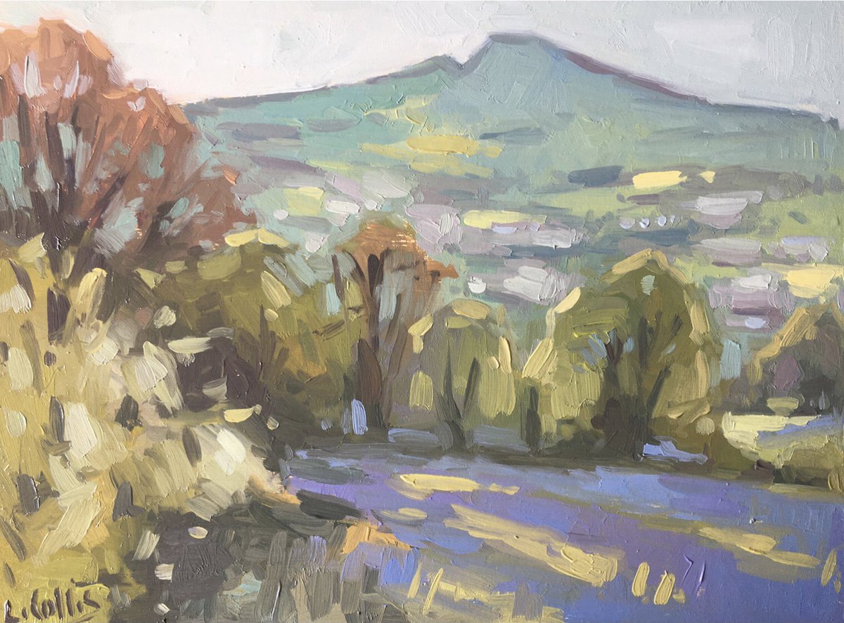The Skirrid from the Blorenge Slopes
8”x6” oil on board

The Skirrid viewed from the slopes of the Blorenge with a carpet of bluebells in the field in late Spring.

louisecollis.com/shop/p/the-ski…