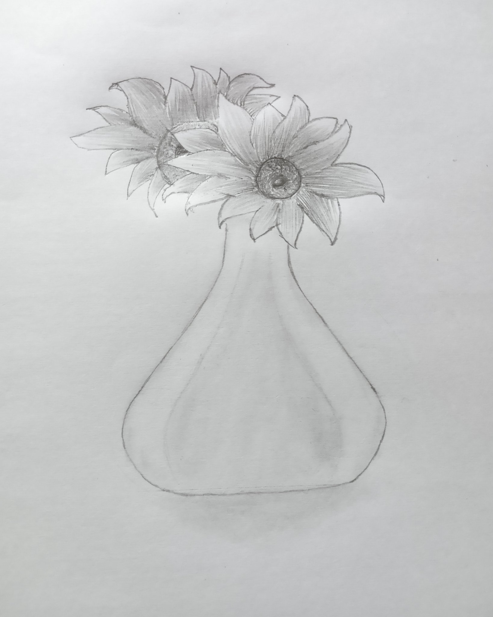 The flower in the vase smiles but no longer laughs  Flower sketch pencil  Pencil drawings of flowers Flower vase drawing