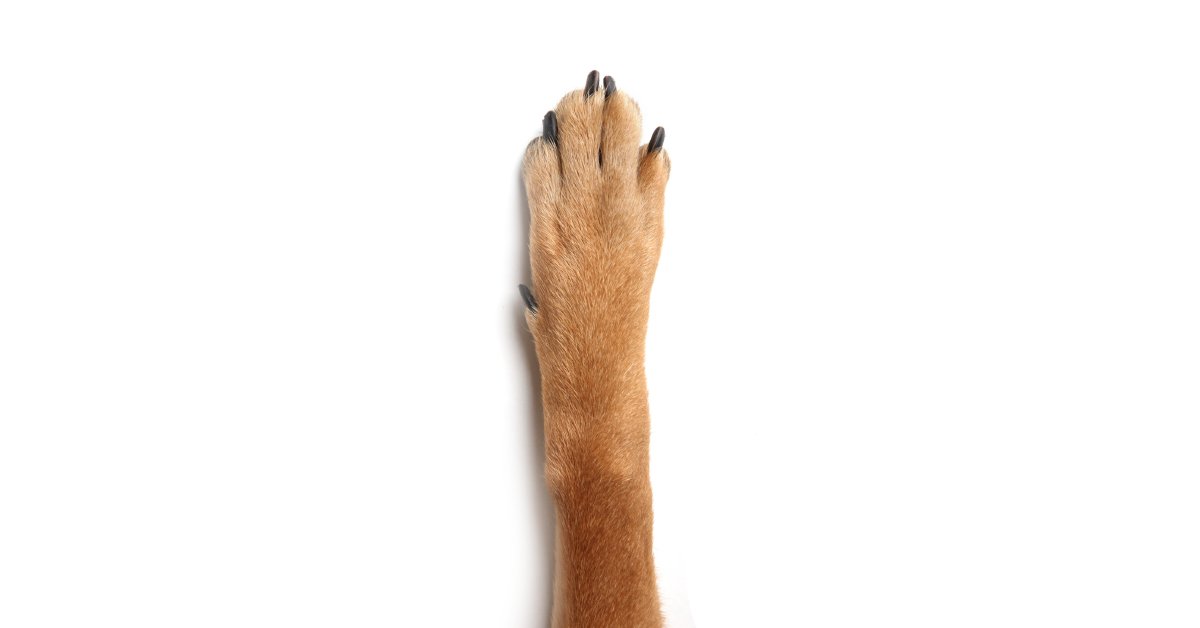 Image of this social media content