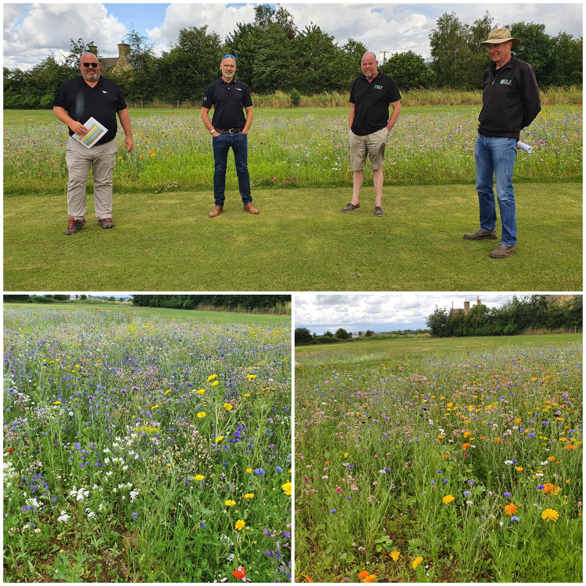 IanDLFseeds's tweet photo. We welcomed @QualitySeedStu to the UK's biggest seed research site @DLF_Didbrook today with over 3000 amenity plots &amp; our wild flowers plots in full bloom looking fantastic. 
#seeds #science #seedknowledge https://t.co/uDmLEhpQAR