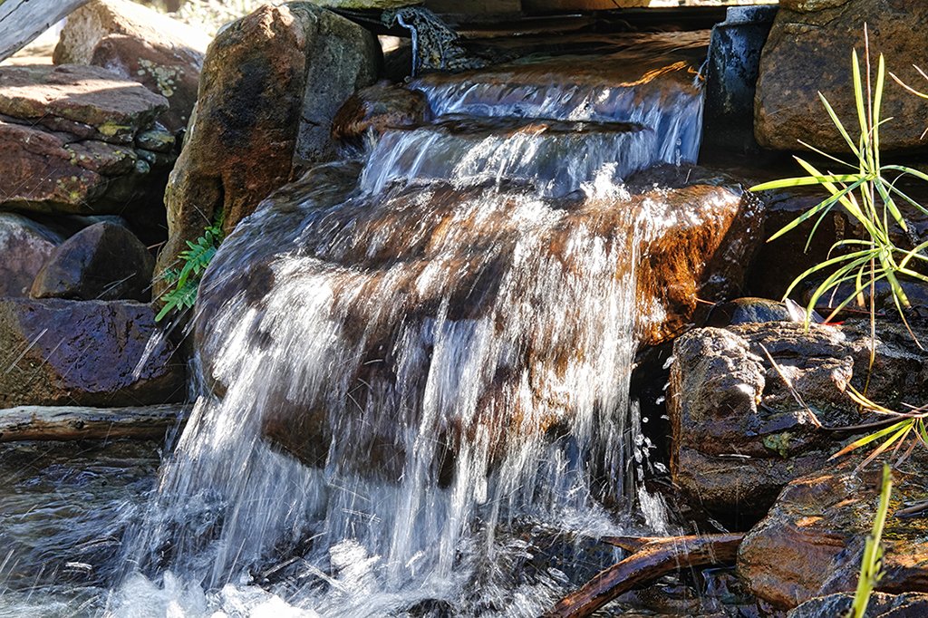 At the Mercer Botanical Gardens in Humble, Texas, a fountain near the entry greets visitors, including Butch Colbert, who uses a slow shutter speed to give movement to the water flow.

<a href="/MensaBulletin/">Mensa Bulletin</a> #OpeningShots