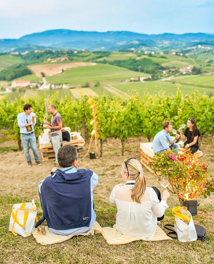 Avete mai partecipato ad una degustazione in vigna? 
È una delle esperienze che si possono fare sulle nostre colline, come questa fotografata dal @consorzio_collio

#igersgo #igersfvg #friuliveneziagiulia #regionefvg #collio