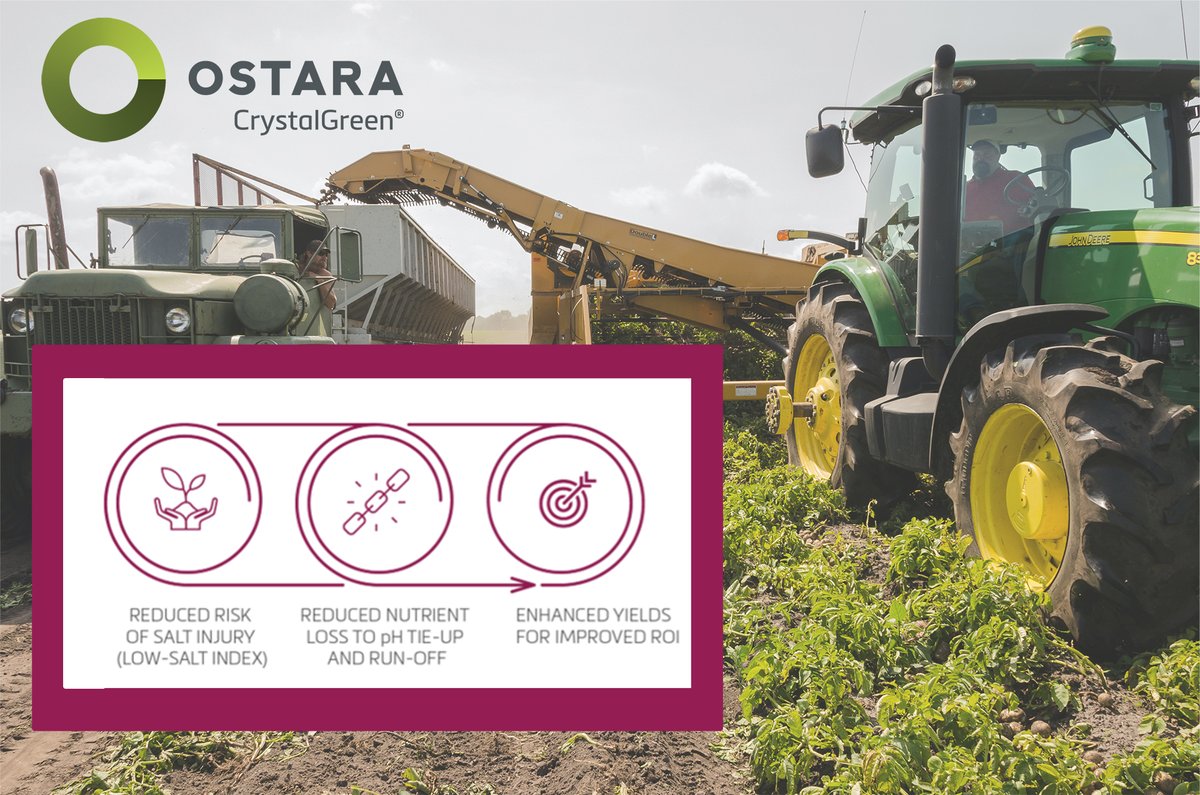 Ostara tweet media