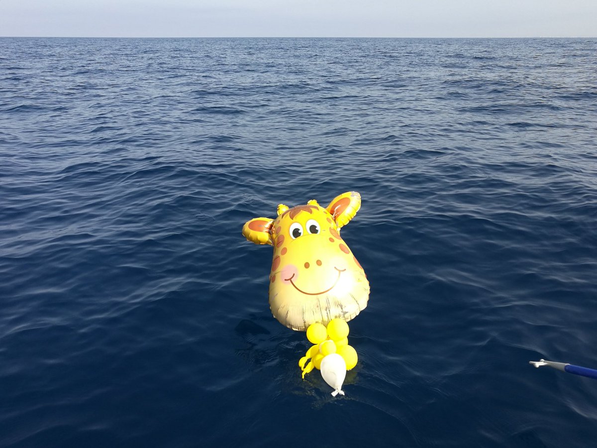 When you make a party or a celebration, when you wanna make happy your kids, think to the future, think about your impacts. They can be positive or negative, it is your choise... I say, don't leave balloons or other rubbish around and collect it! <a href="/InsideNatGeo/">National Geographic Society</a>