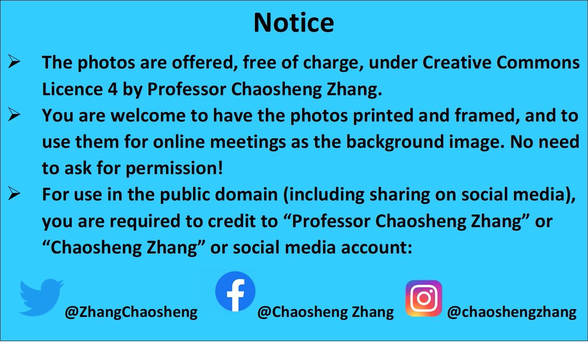 Chaosheng Zhang tweet media
