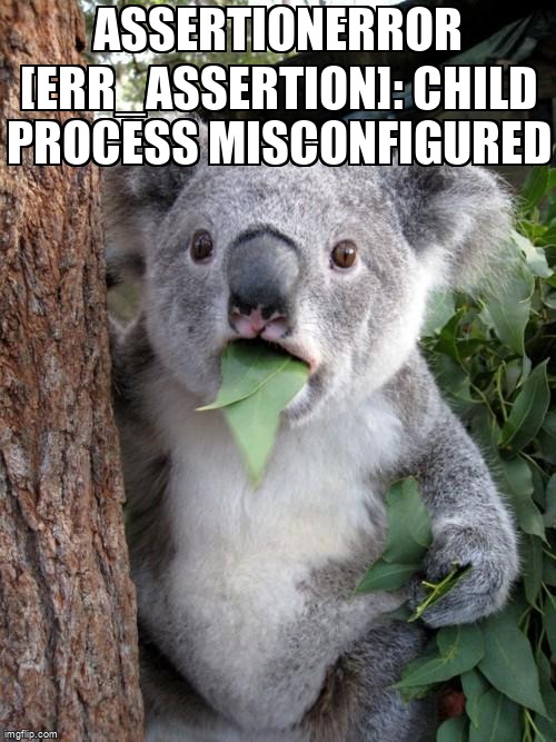 overflow_meme's tweet photo. AssertionError [ERR_ASSERTION]: child process misconfigured https://t.co/UtNdq2DJc2 #nodejs #process #childprocess #assertion https://t.co/O1n22WWjmy