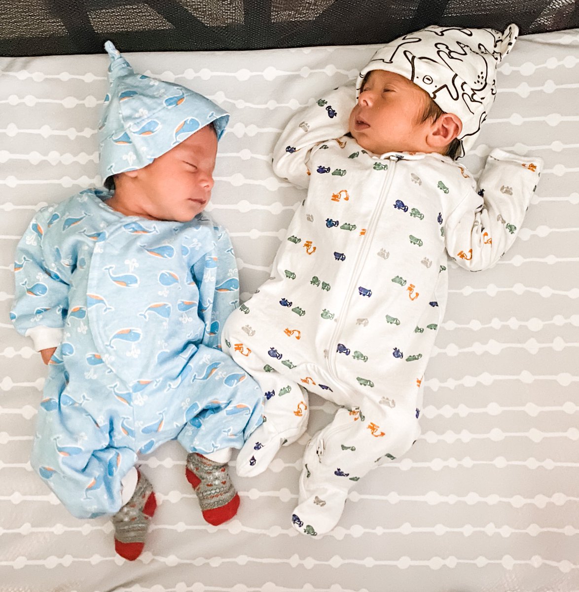 Todd Nesloney tweet media