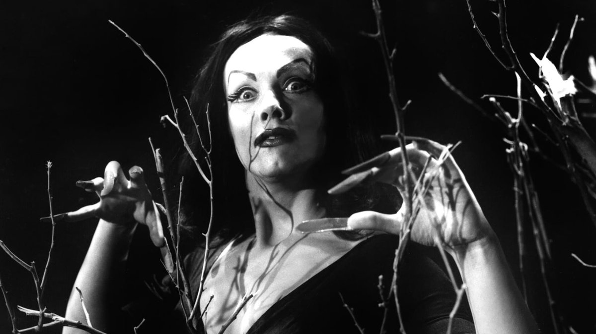 DavCTucker's tweet photo. "The kind you don't take home to Mother..." #Vampira #PlanNine https://t.co/UEWteNBGZu