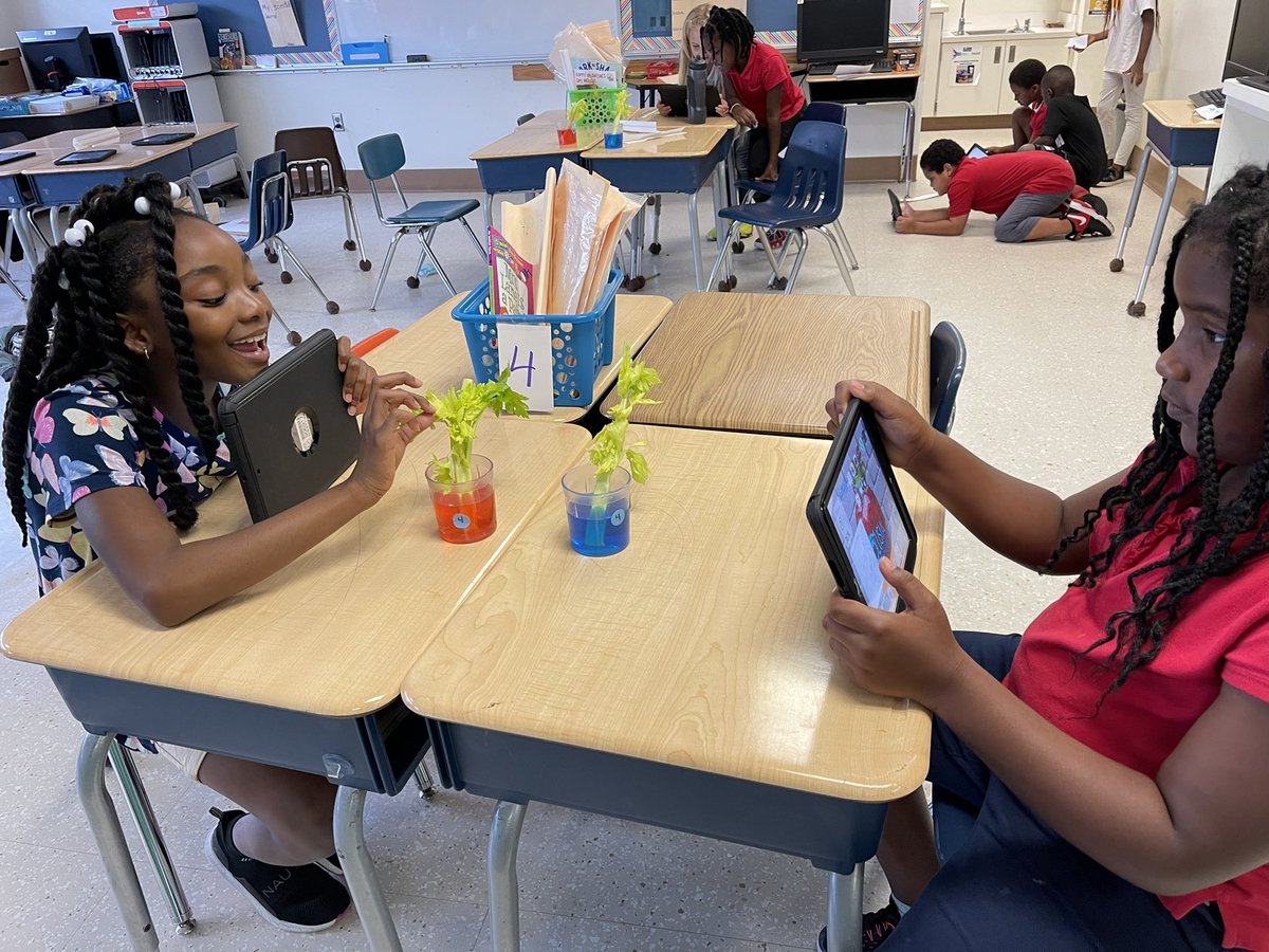issirk09's tweet photo. Plant structure and how nutrients get from the roots to the tips of leaves. Making observations and recording them using technology.
#vcssummer2021 #vcscsi
@HHSK8Knights https://t.co/mX2ynVXaM7