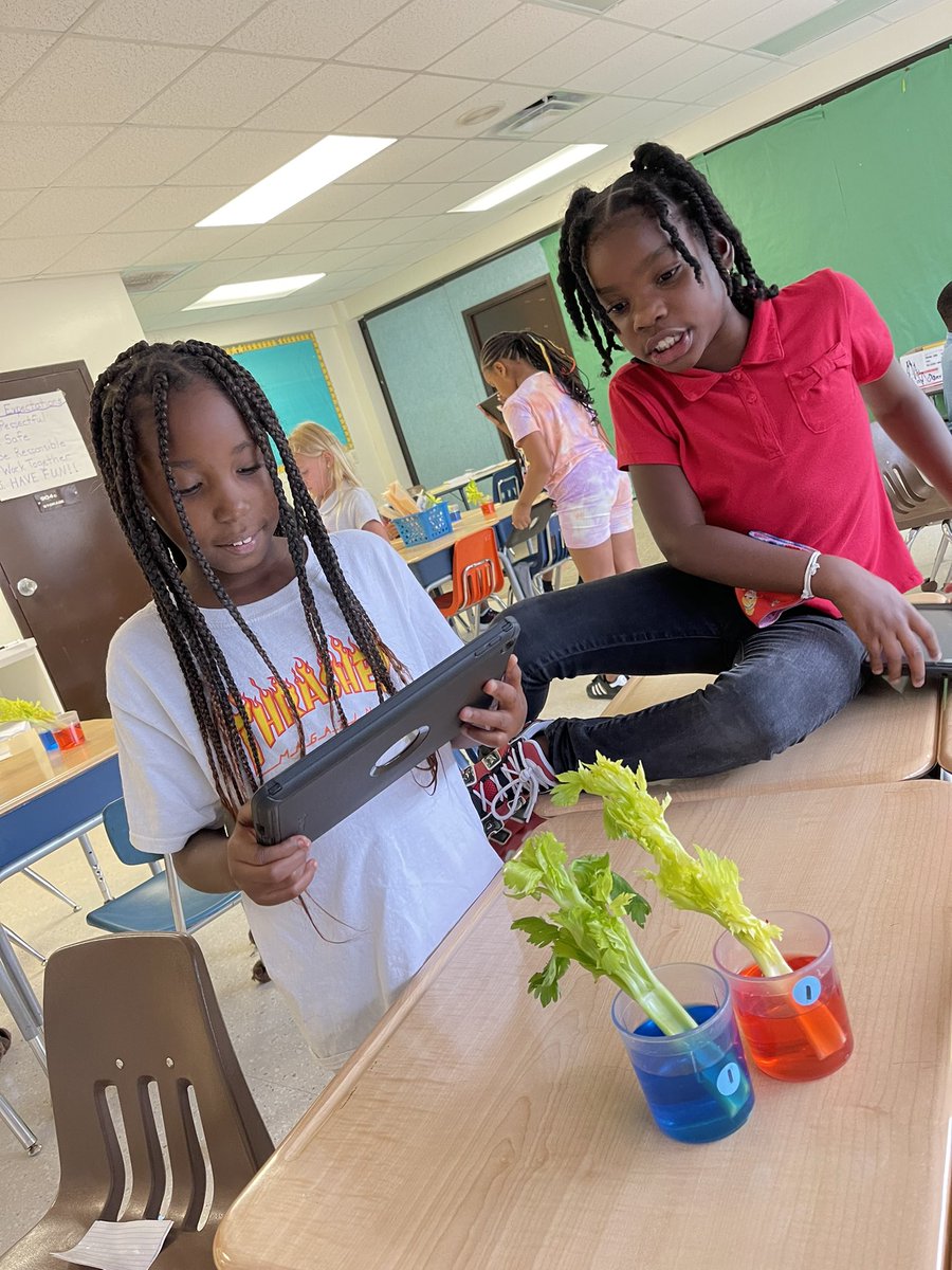 issirk09's tweet photo. Plant structure and how nutrients get from the roots to the tips of leaves. Making observations and recording them using technology.
#vcssummer2021 #vcscsi
@HHSK8Knights https://t.co/mX2ynVXaM7